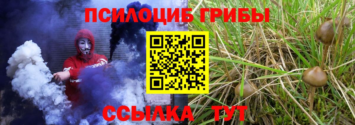 Обь  Псилоцибиновые грибы мухоморы  цены наркотик  Вход с VPN 